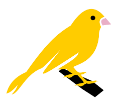 Warrant Canary